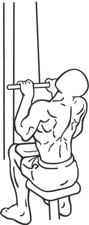 Underhand Lat Pulldown — end position