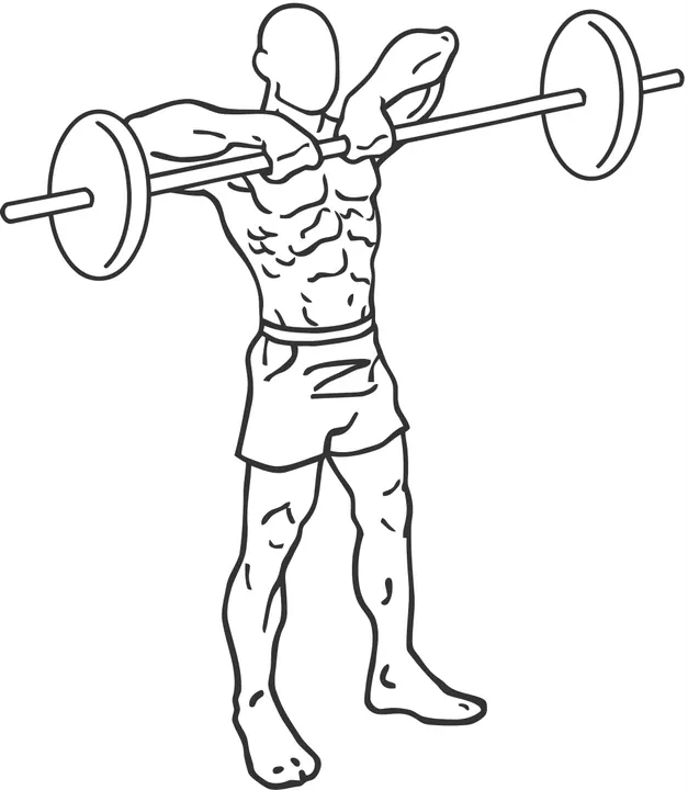 Barbell Upright Row — end position