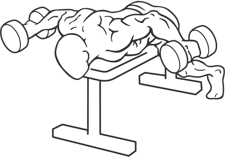 Lying Rear Delt Raise — end position