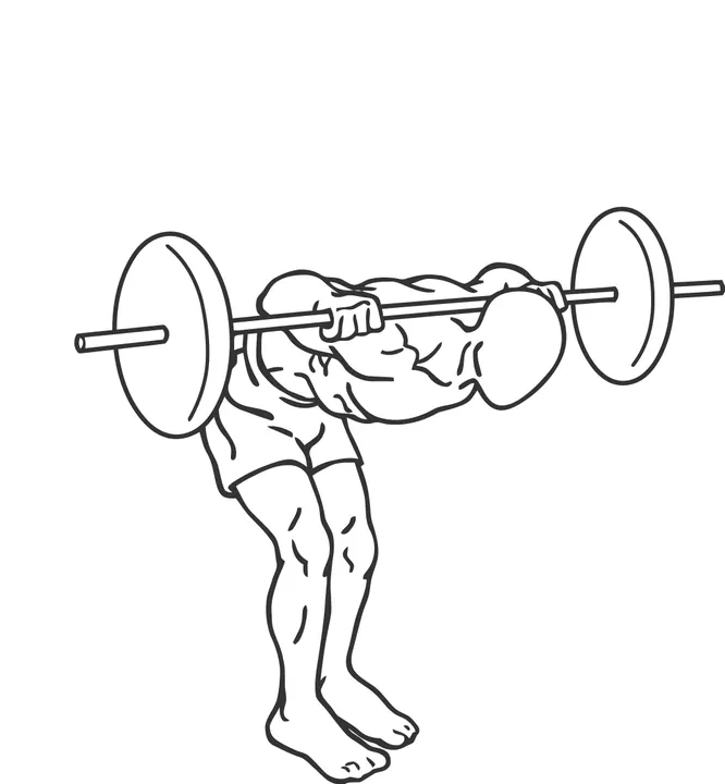 Barbell Good Morning — end position