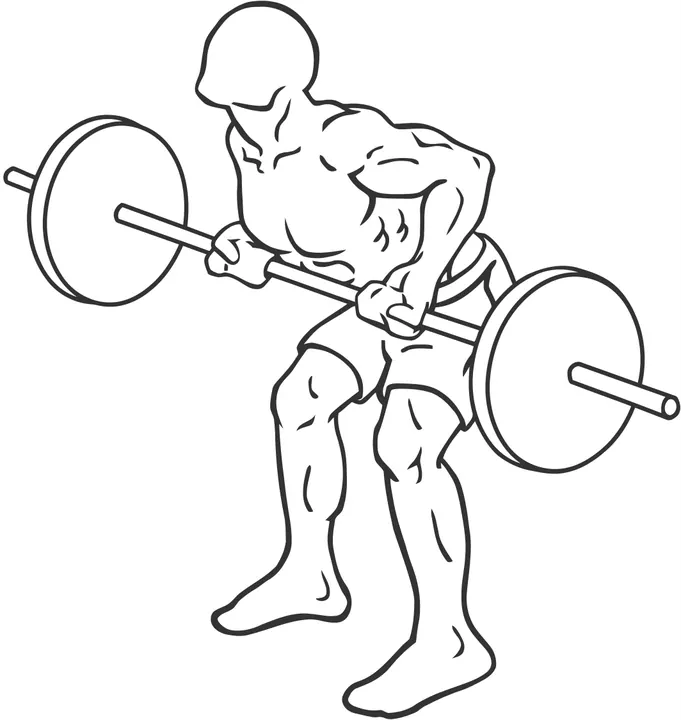 Reverse-Grip Barbell Row — end position
