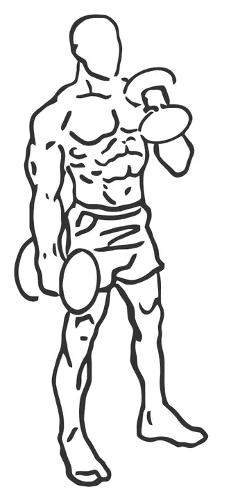 Alternating Dumbbell Hammer Curl — end position