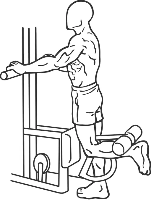 Standing Leg Curl — end position