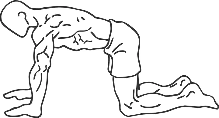 Quadruped Abdominal Draw-In — end position