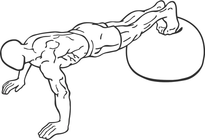 Stability Ball Push-Up — start position