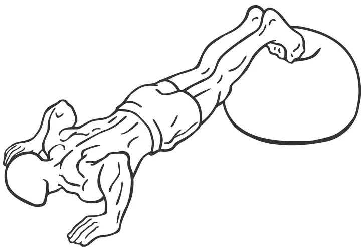 Stability Ball Push-Up — end position
