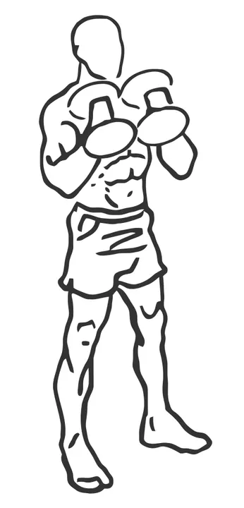 Dumbbell Hammer Curl — end position