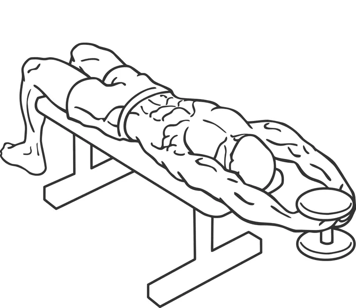 Straight-Arm Dumbbell Pullover — end position
