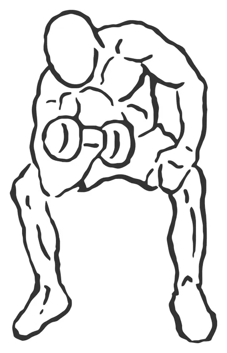 Dumbbell Concentration Curl — end position