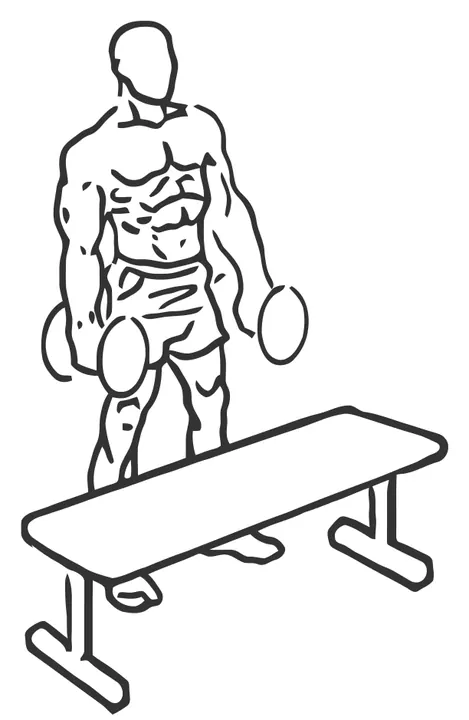 Dumbbell Step-Up — start position