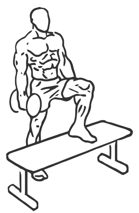 Dumbbell Step-Up — end position