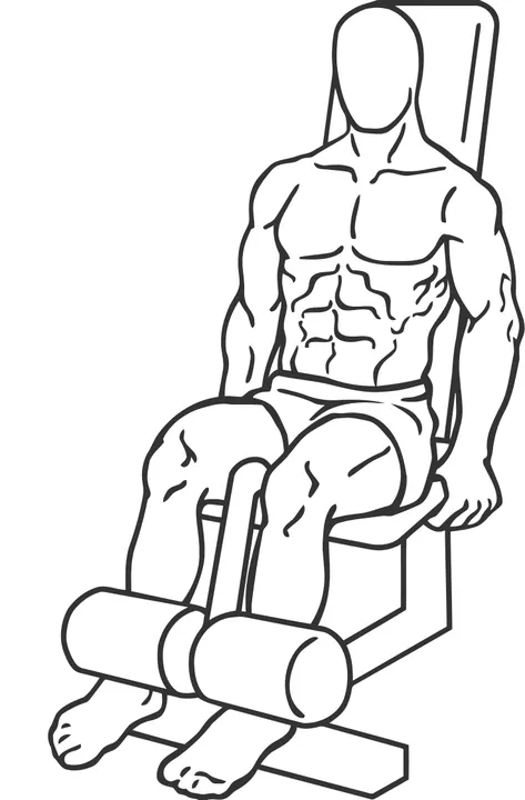 Leg Extension — start position