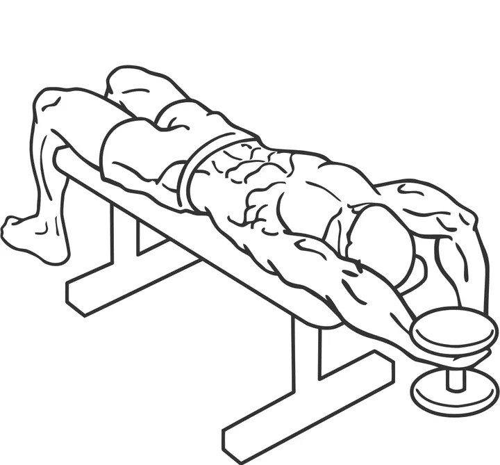 Bent-Arm Dumbbell Pullover — end position