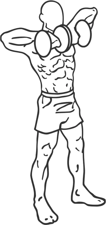 Dumbbell Upright Row — end position