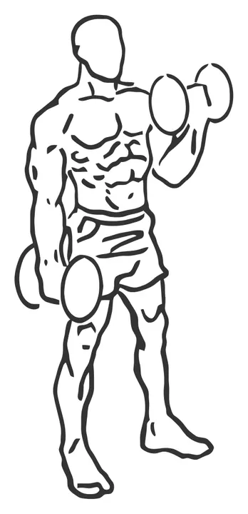 Alternating Dumbbell Biceps Curl — end position