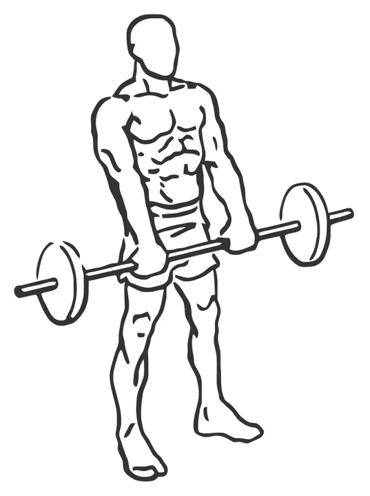 Barbell Drag Curl — start position