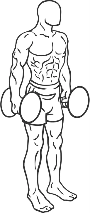 Dumbbell Squat — start position
