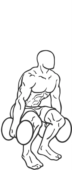 Dumbbell Squat — end position