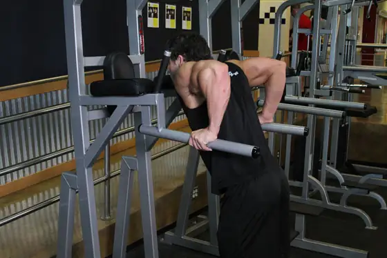 Dips - Triceps Version — start position