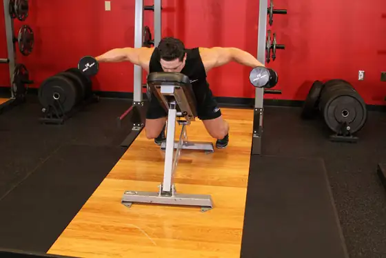 Dumbbell Lying Rear Lateral Raise — end position