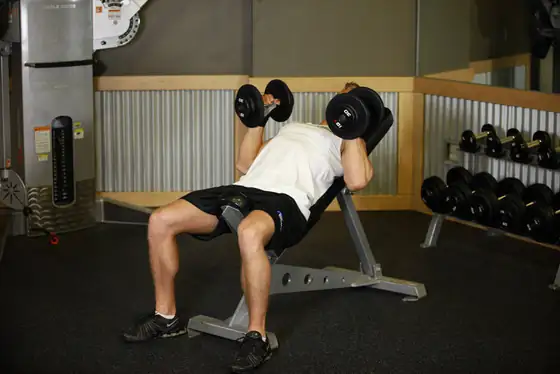 Incline Dumbbell Bench With Palms Facing In — end position