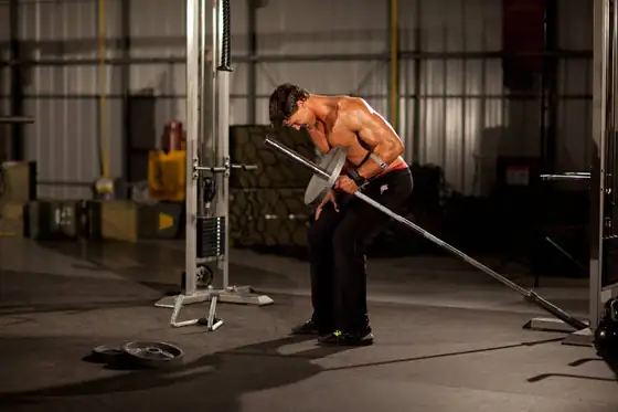 One-Arm Long Bar Row — end position