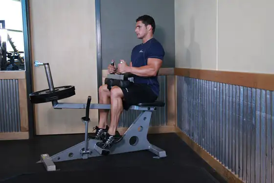 Seated Calf Raise — end position