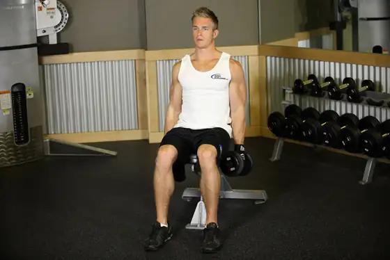 Seated Dumbbell Inner Biceps Curl — start position