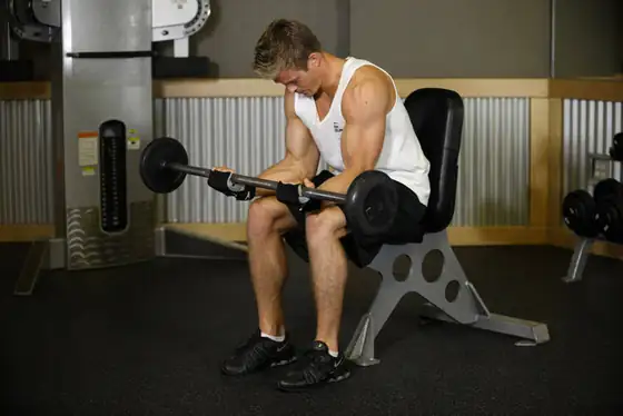 Seated Palm-Up Barbell Wrist Curl — end position