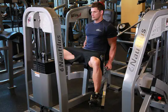 Thigh Abductor — end position