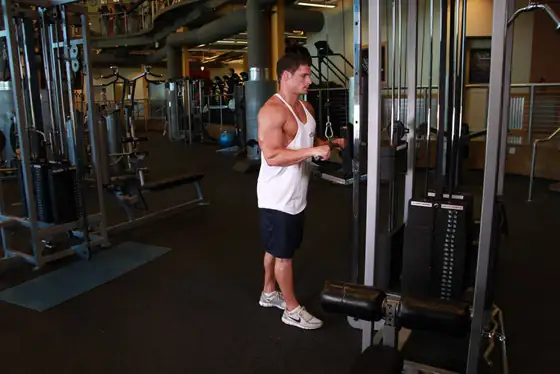 Triceps Pushdown — start position
